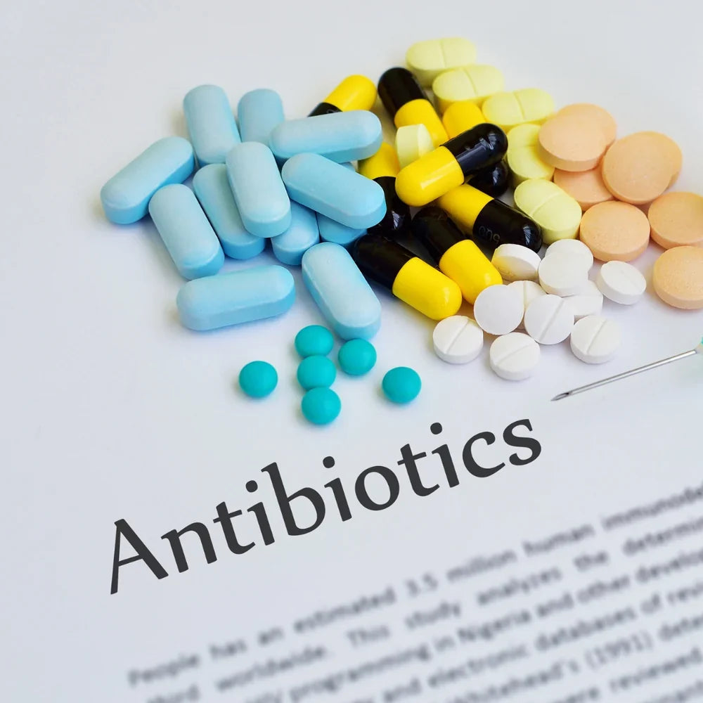 Antibiotika och hästens mikrobiom