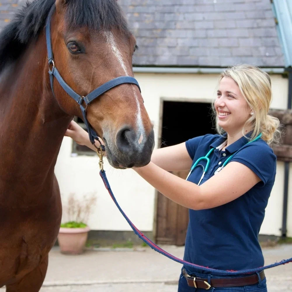 Equine Veterinary Journal – Kan hästar drabbas av irritabel tarm (IBS)?