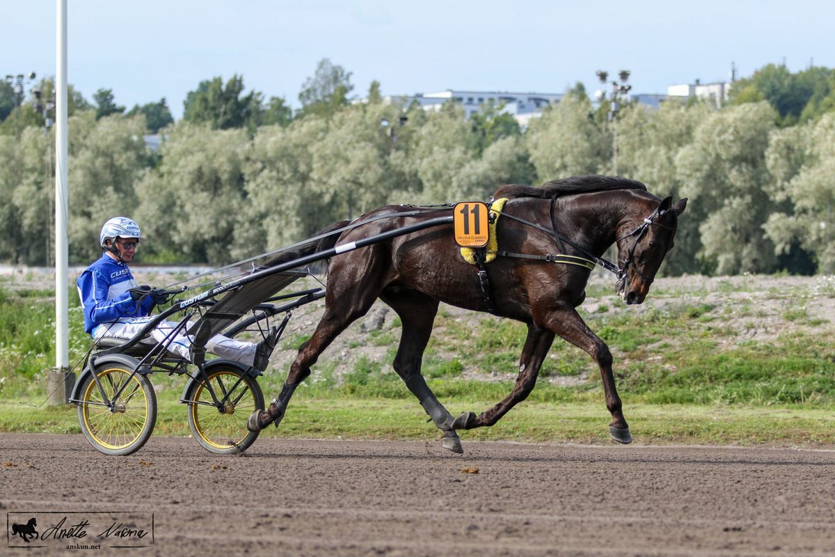 Calle visar att EquiNectar gör underverk för prestationen!