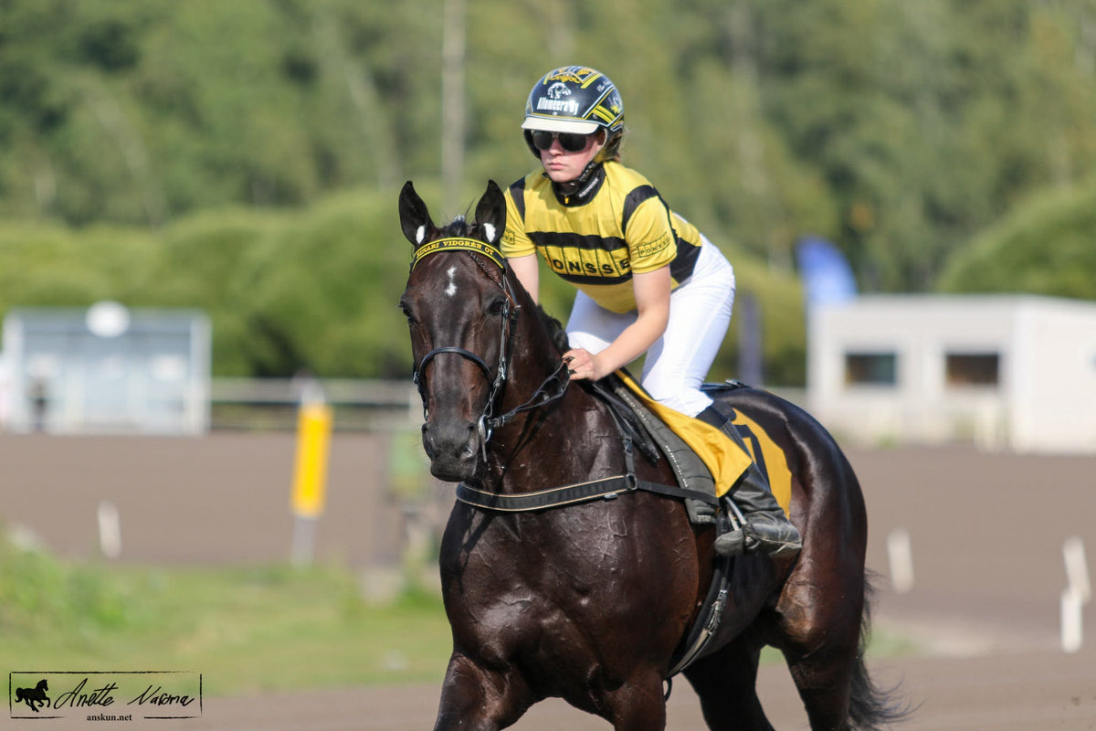 Hejja Harri – en helt ny häst i monté!