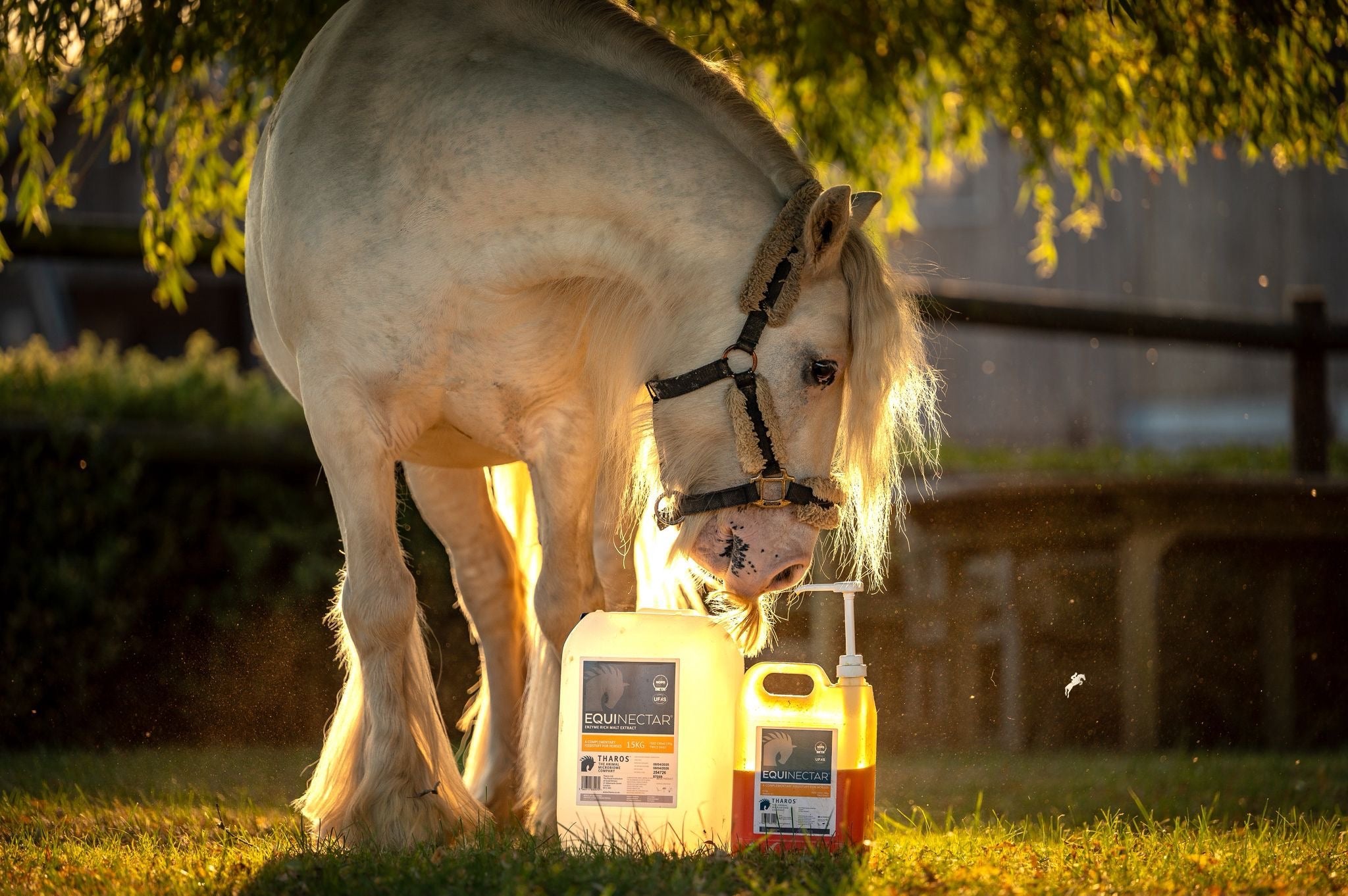 EquiNectar