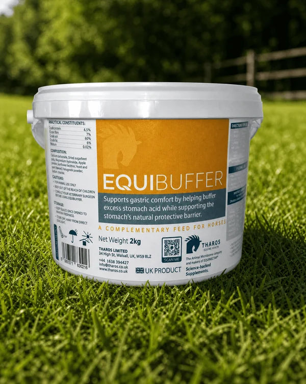 EquiBuffer -stöd till hästens magsäck och magkomfort